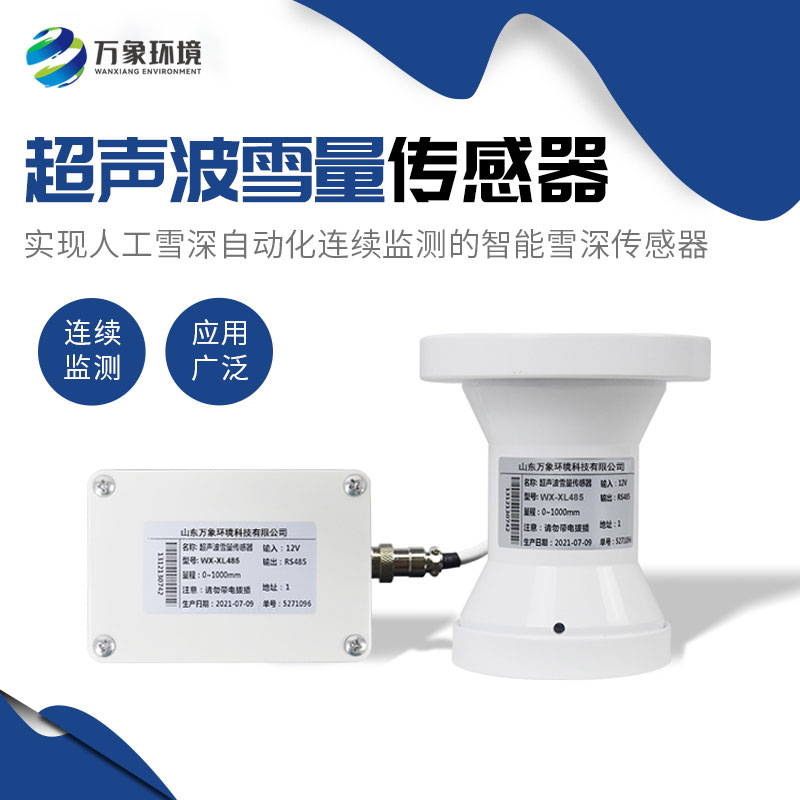 Ultrasonic snow sensor